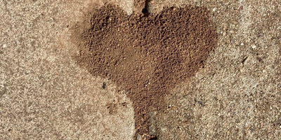 The Reconciliation Project