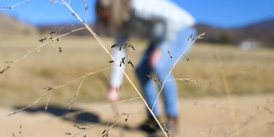 Reflective Spiritual and Professional Development Experiences for Educators